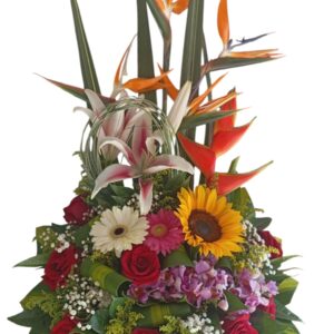 Amor y Cumpleaños