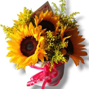 cilindro girasol