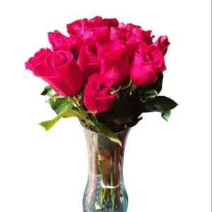 jarron fucsia