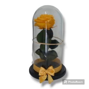 rosa preservada amarilla